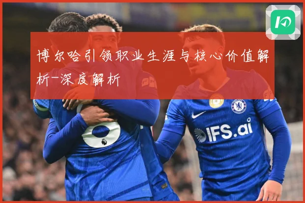 博尔哈引领职业生涯与核心价值解析-深度解析